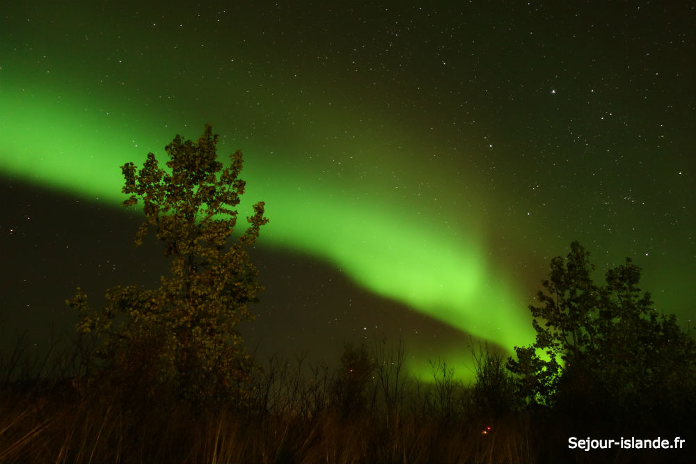 Admirer les lumières vertes dans le ciel d'Islande